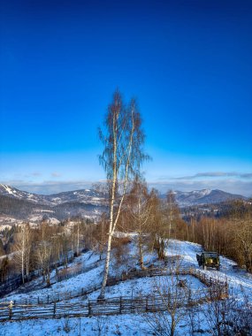 Ukrayna Karpatlar Kış karları