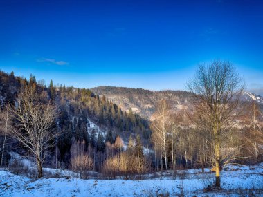 Ukrayna Karpatlar Kış karları