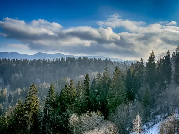Ukrayna Karpatlar Kış karları