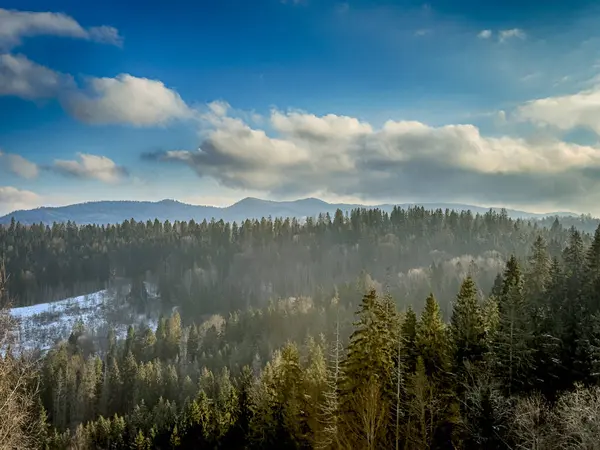 Ukrayna Karpatlar Kış karları