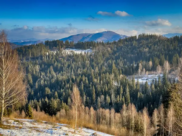 Ukrayna Karpatlar Kış karları