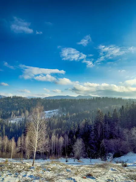 Ukrayna Karpatlar Kış karları