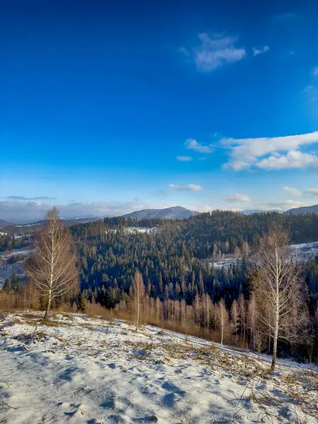 Ukrayna Karpatlar Kış karları