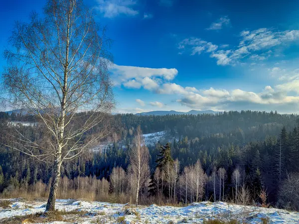 Ukrayna Karpatlar Kış karları