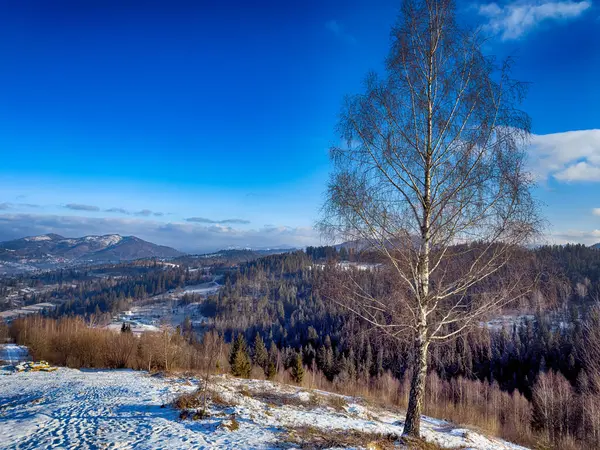 Ukrayna Karpatlar Kış karları