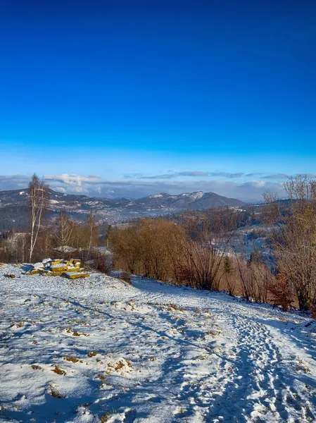 Ukrayna Karpatlar Kış karları