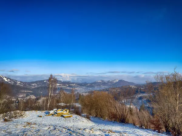 Ukrayna Karpatlar Kış karları