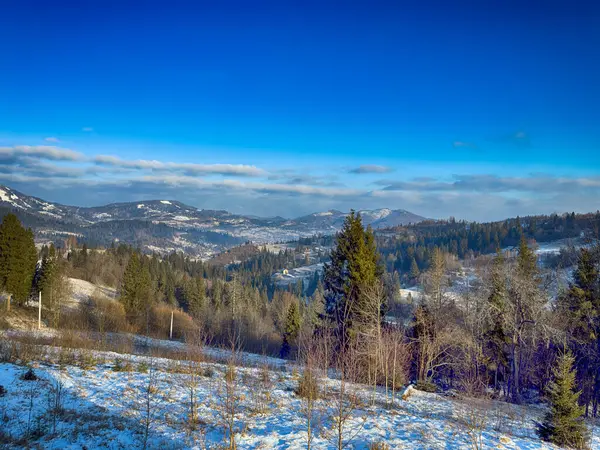 Ukrayna Karpatlar Kış karları