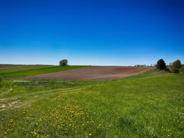 Parlak, güneşli bir gökyüzünün altında geniş bir tarım arazisi barındıran manzaralı kırsal alan. Ufuk boyunca uzanan altın ekinler, açık mavi gökyüzü ve yukarda yumuşak beyaz bulutlar