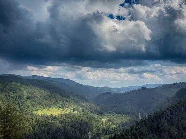 Karpat Dağları 'nın karamsar bir günde bulutlarla kaplı manzarası