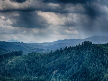 Karpat Dağları 'nın karamsar bir günde bulutlarla kaplı manzarası