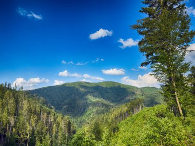 Güneşli bir günde bulutlarla kaplı Karpat Dağlarının Manzarası