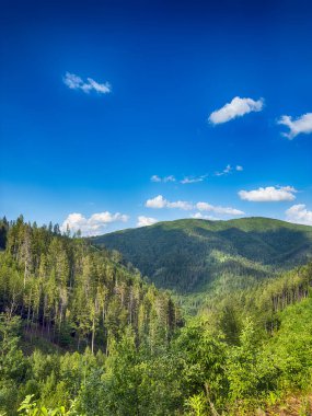 Güneşli bir günde bulutlarla kaplı Karpat Dağlarının Manzarası
