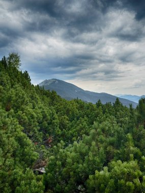 Kasvetli bir Karpatya manzarası, görkemli ve zamansız bulutlu gökyüzü altında.