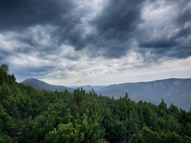 Kasvetli bir Karpatya manzarası, görkemli ve zamansız bulutlu gökyüzü altında.