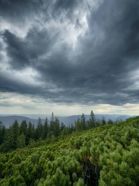 Kasvetli bir Karpatya manzarası, görkemli ve zamansız bulutlu gökyüzü altında.