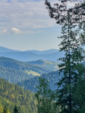Güneşli Karpat tepeleri: yeşil vadiler ve kristal berrak gökyüzü.
