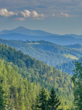 Güneşli Karpat tepeleri: yeşil vadiler ve kristal berrak gökyüzü.