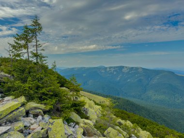 Güneşli Karpat tepeleri: yeşil vadiler ve kristal berrak gökyüzü.