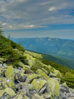 Güneşli Karpat tepeleri: yeşil vadiler ve kristal berrak gökyüzü.