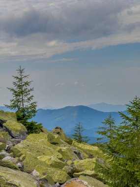 Güneşli Karpat tepeleri: yeşil vadiler ve kristal berrak gökyüzü.