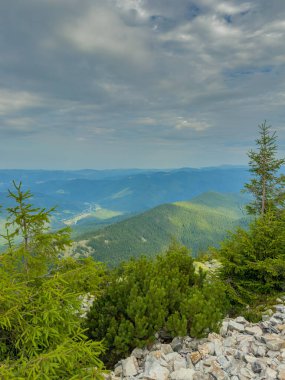 Güneşli Karpat tepeleri: yeşil vadiler ve kristal berrak gökyüzü.