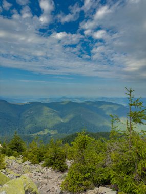 Güneşli Karpat tepeleri: yeşil vadiler ve kristal berrak gökyüzü.