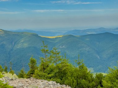 Güneşli Karpat tepeleri: yeşil vadiler ve kristal berrak gökyüzü.