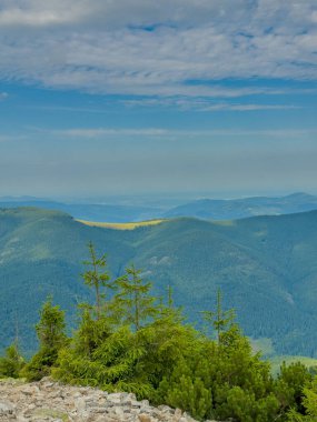 Güneşli Karpat tepeleri: yeşil vadiler ve kristal berrak gökyüzü.
