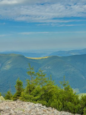Güneşli Karpat tepeleri: yeşil vadiler ve kristal berrak gökyüzü.