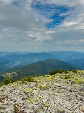 Güneşli Karpat tepeleri: yeşil vadiler ve kristal berrak gökyüzü.