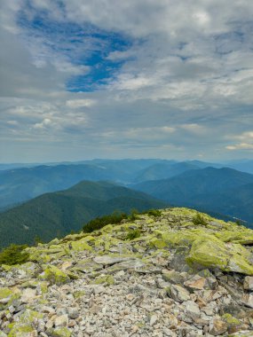 Güneşli Karpat tepeleri: yeşil vadiler ve kristal berrak gökyüzü.