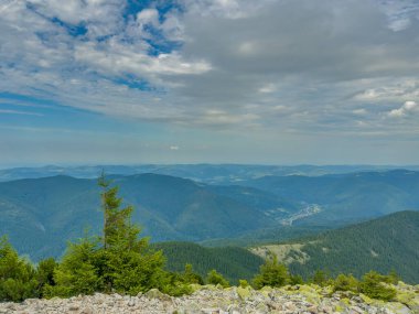 Güneşli Karpat tepeleri: yeşil vadiler ve kristal berrak gökyüzü.