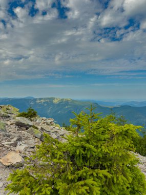 Güneşli Karpat tepeleri: yeşil vadiler ve kristal berrak gökyüzü.