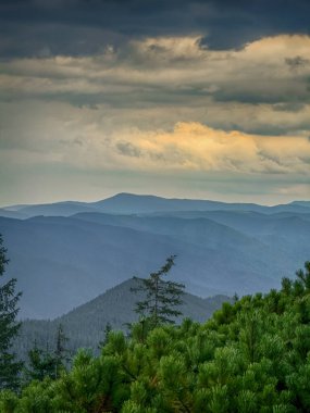 Güneşli Karpat tepeleri: yeşil vadiler ve kristal berrak gökyüzü.