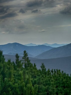 Güneşli Karpat tepeleri: yeşil vadiler ve kristal berrak gökyüzü.