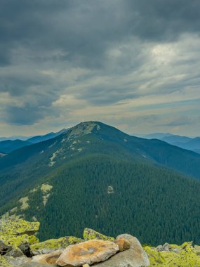 Güneşli Karpat tepeleri: yeşil vadiler ve kristal berrak gökyüzü.