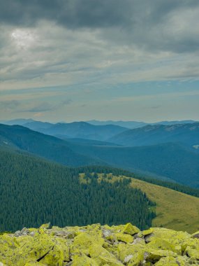 Güneşli Karpat tepeleri: yeşil vadiler ve kristal berrak gökyüzü.