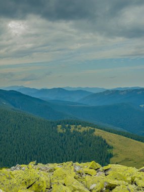 Güneşli Karpat tepeleri: yeşil vadiler ve kristal berrak gökyüzü.