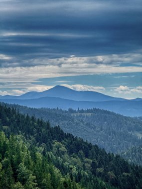 Güneşli Karpat tepeleri: yeşil vadiler ve kristal berrak gökyüzü.