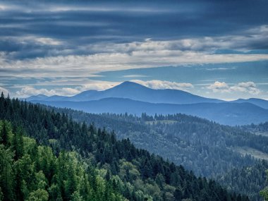 Güneşli Karpat tepeleri: yeşil vadiler ve kristal berrak gökyüzü.