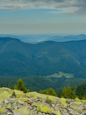 Güneşli Karpat tepeleri: yeşil vadiler ve kristal berrak gökyüzü.