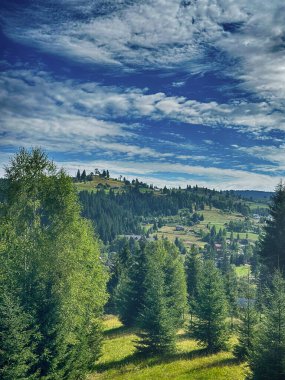 Güneşli Karpat tepeleri: yeşil vadiler ve kristal berrak gökyüzü.