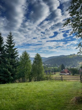 Güneşli Karpat tepeleri: yeşil vadiler ve kristal berrak gökyüzü.
