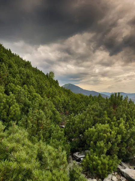 Kasvetli bir Karpatya manzarası, görkemli ve zamansız bulutlu gökyüzü altında.