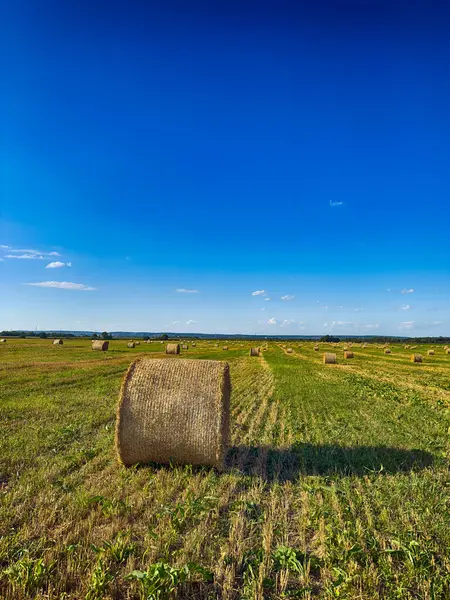 Gökyüzünde bulutlar olan güneşli bir arazide saman balyaları. Saman ruloları ve mavi gökyüzü ile yaz kırsal arazisi