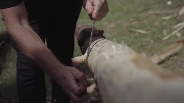 工匠用古老的工具去除树皮 — 图库视频影像