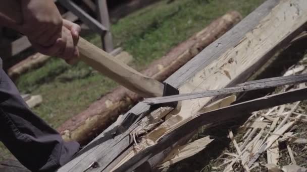 Holzfäller Beim Fällen Eines Baumstammes — Stockvideo