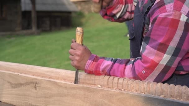 Traditional Carving Using Chisel Hammer Wood Log — Stock Video