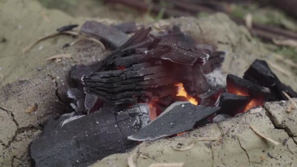 Горящие Угли Маленькой Огненной Кузнице — стоковое видео